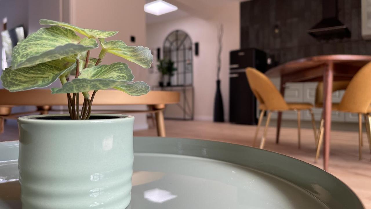 Malis-Ferienhaus Bad Harzburg Exteriör bild